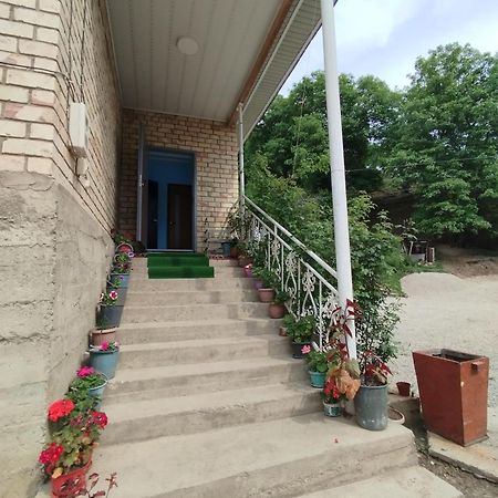 Guest House Kyzyl Alma Arkit 외부 사진